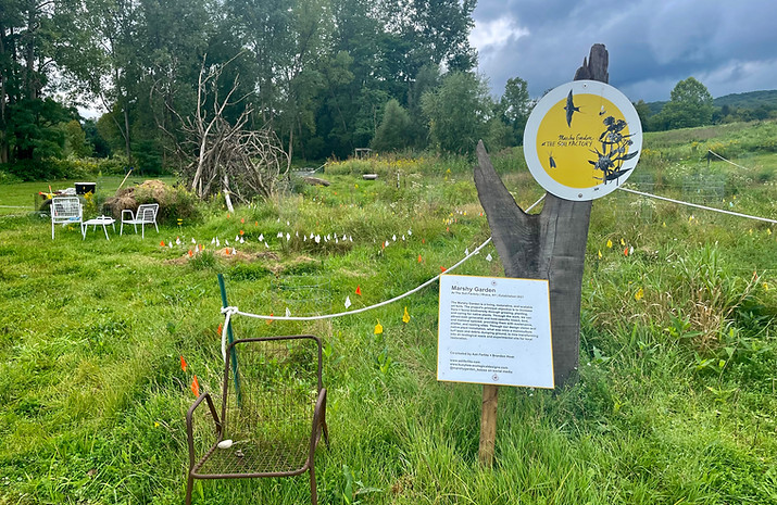 Mini-Grant program helps grassroots&nbsp;initiatives