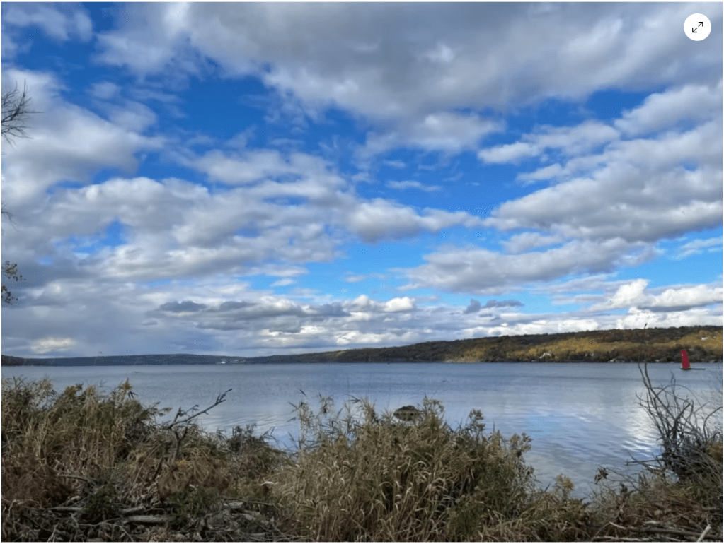 With likely sale, Cayuga Salt Mine has an uncertain&nbsp;future