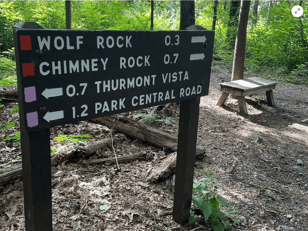 Staying on trail to protect the&nbsp;environment